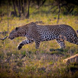 South Africa